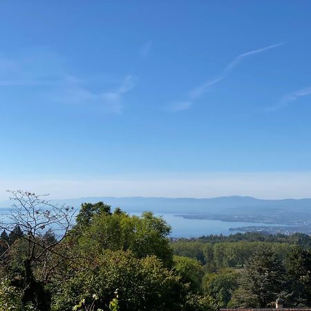 Petite Maison A L'Oree Des Bois Vue Magnifique Sur Le Lac Zenitude Et Plenitude Villa Belmont-sur-Lausanne Exterior photo