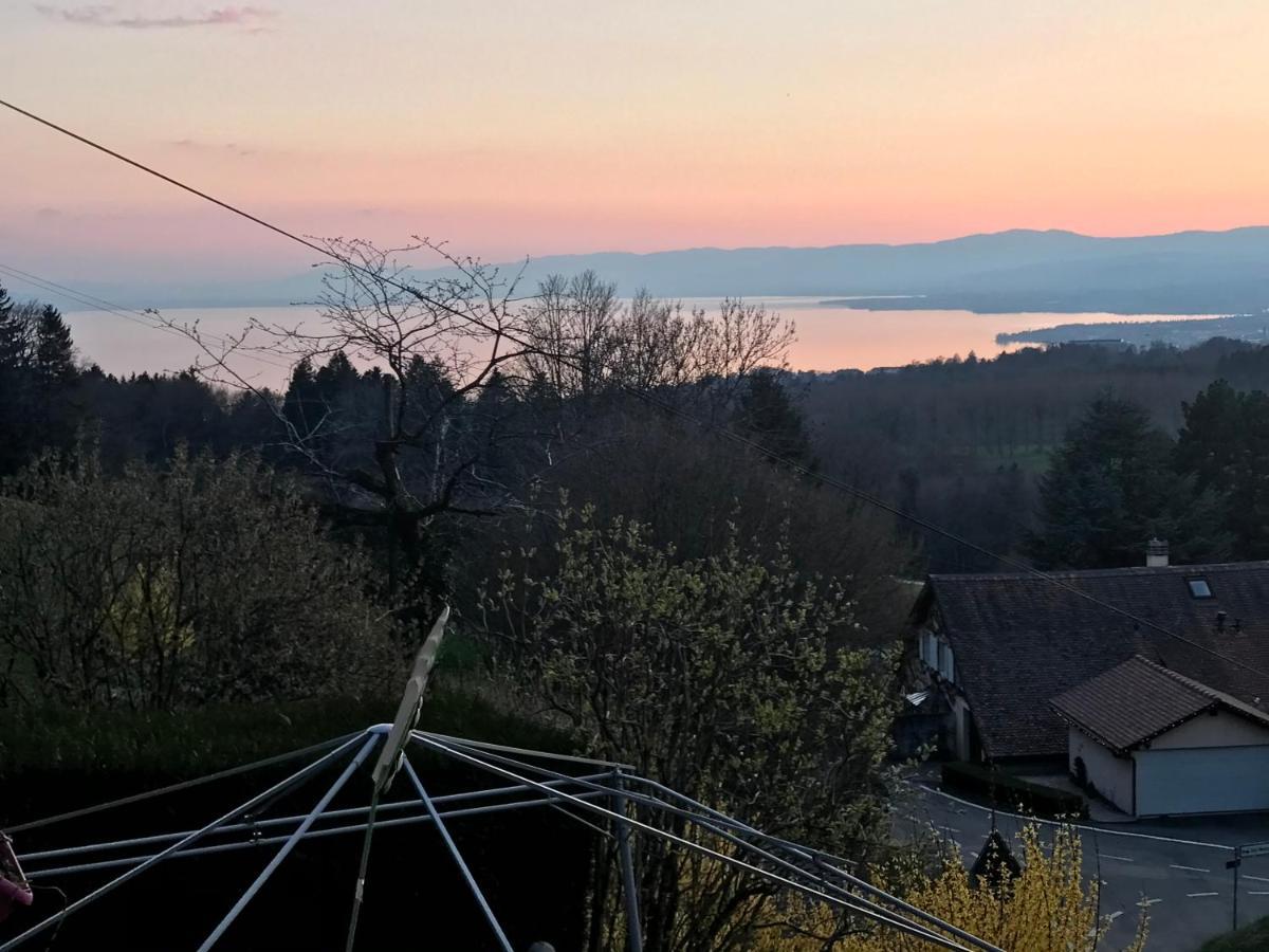 Petite Maison A L'Oree Des Bois Vue Magnifique Sur Le Lac Zenitude Et Plenitude Villa Belmont-sur-Lausanne Exterior photo