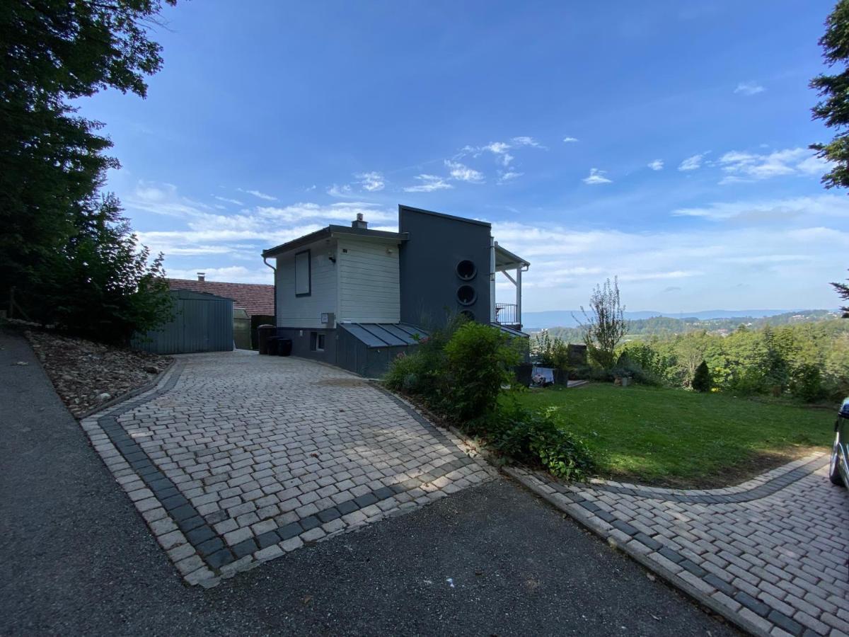 Petite Maison A L'Oree Des Bois Vue Magnifique Sur Le Lac Zenitude Et Plenitude Villa Belmont-sur-Lausanne Exterior photo