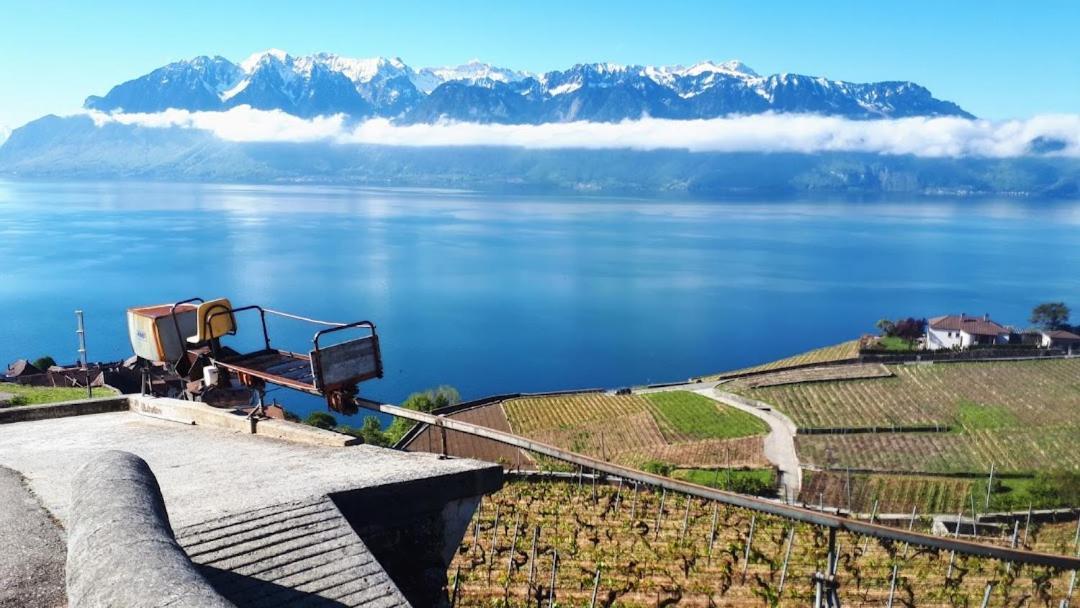 Petite Maison A L'Oree Des Bois Vue Magnifique Sur Le Lac Zenitude Et Plenitude Villa Belmont-sur-Lausanne Exterior photo